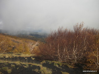 rra delle Concazze-01-01-2009 04-14-13